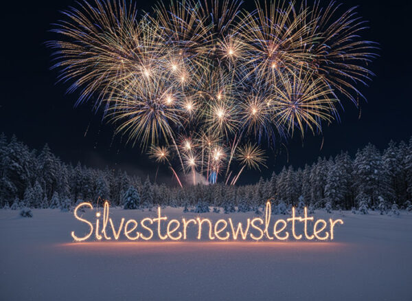 Firefly_Gemini Flash_Ein Silvesterfeuerwerk vor einer verschneiten Landschaft. in der Mitte steht das Wort 475101 Kopie